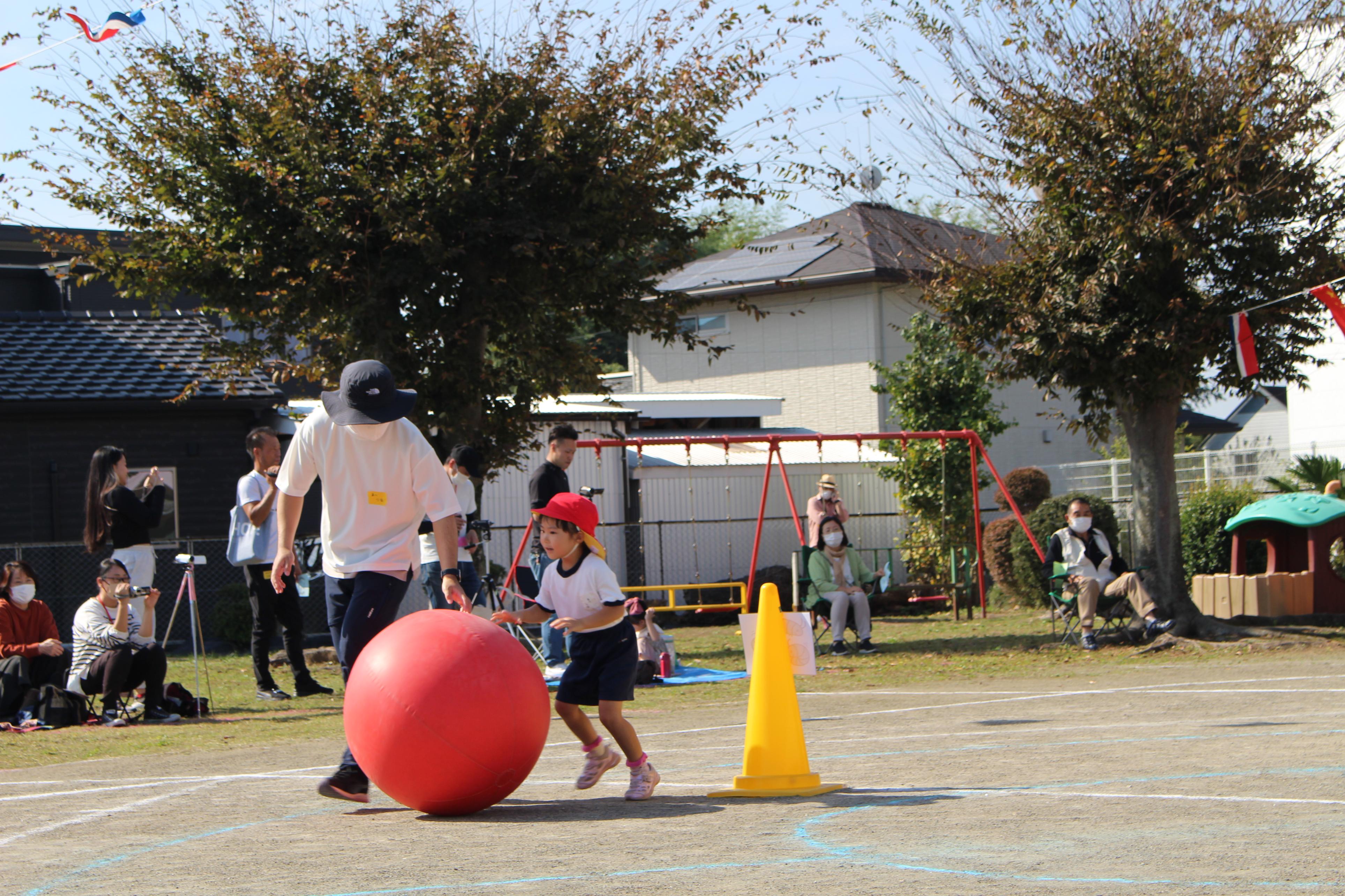 IMG_1829 IMG_1829