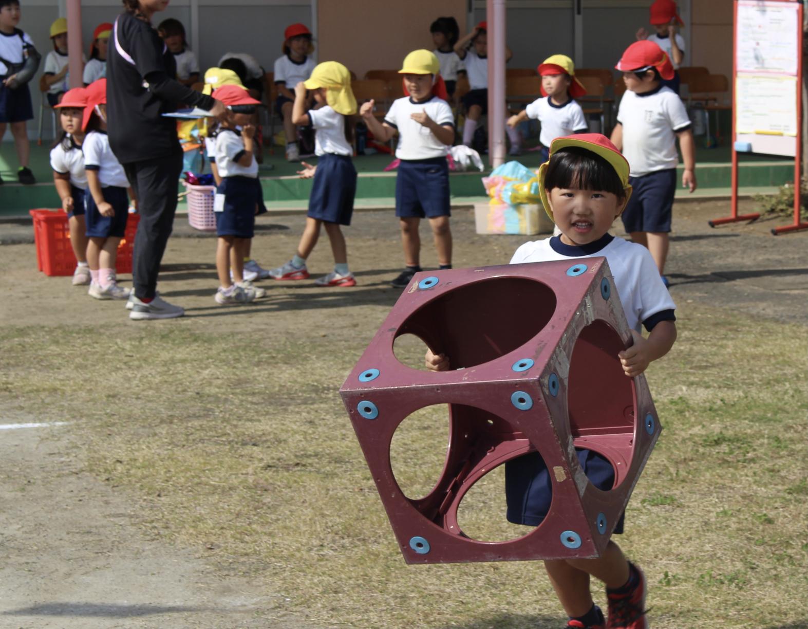 IMG_1909 IMG_1909