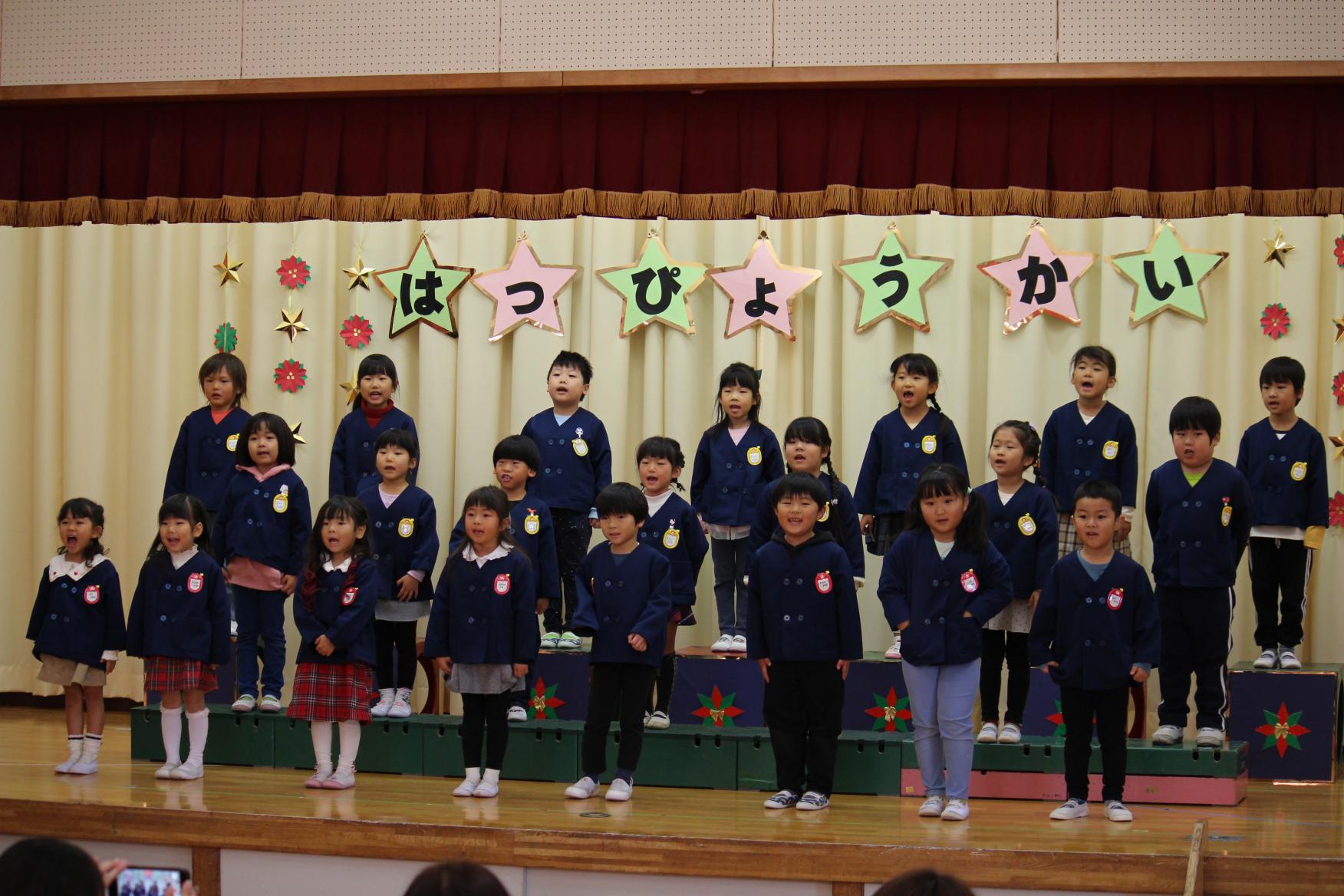 IMG_2981 IMG_2981