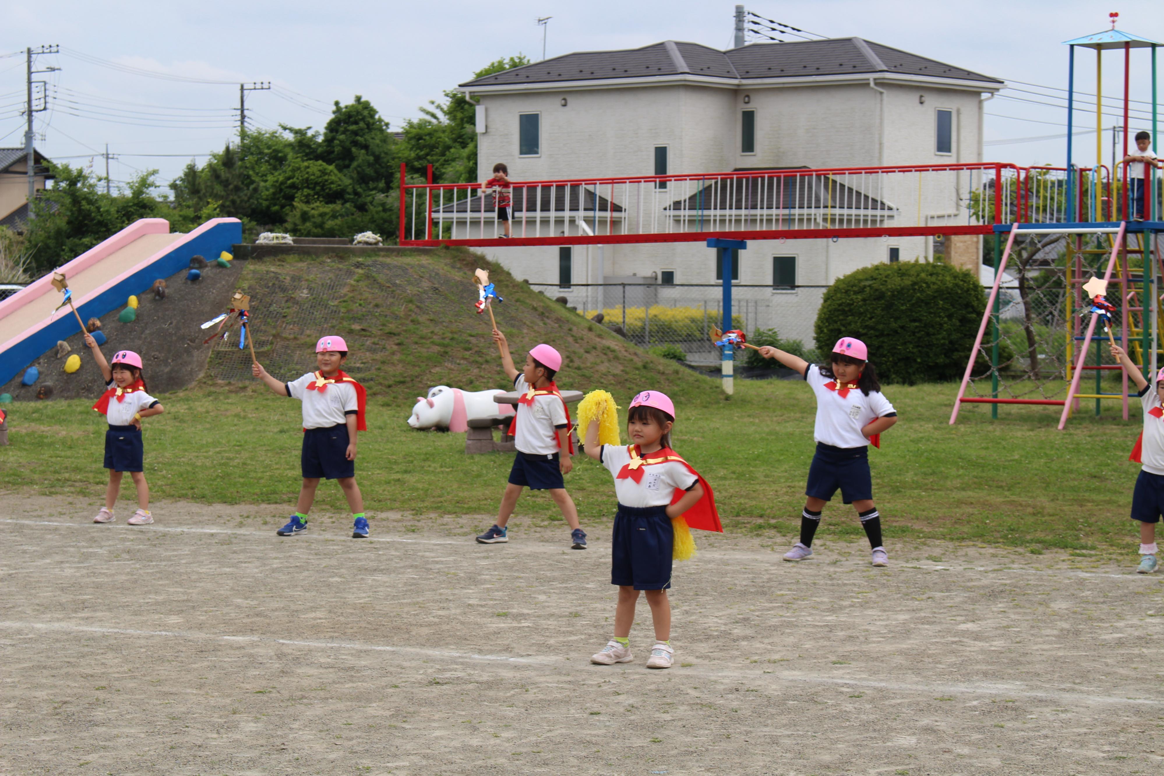 IMG_9532 IMG_9532