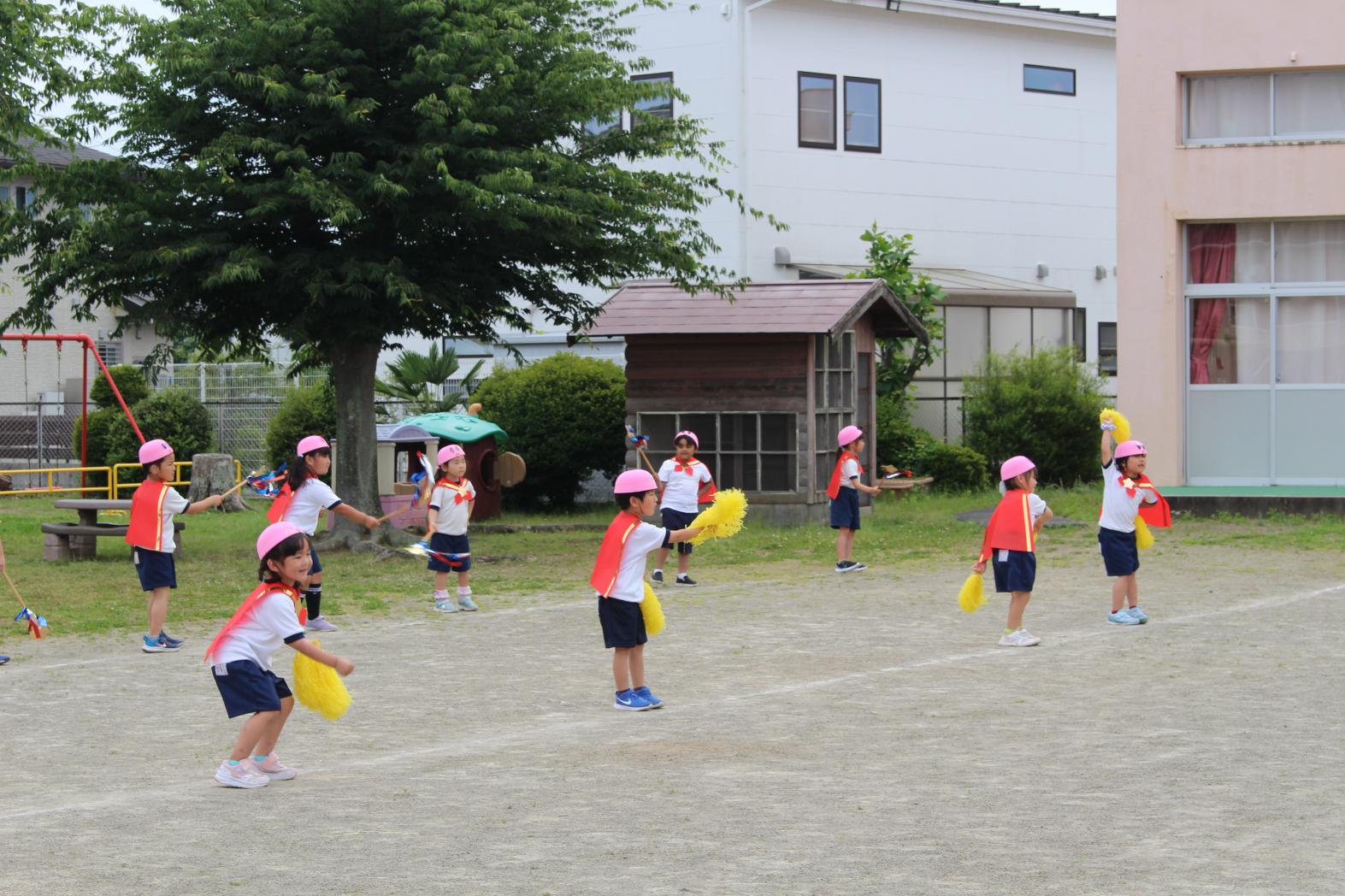 IMG_9535 IMG_9535