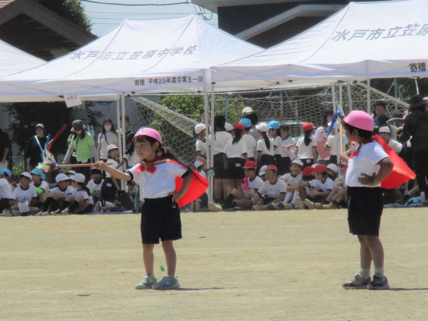 IMG_2046 IMG_2046