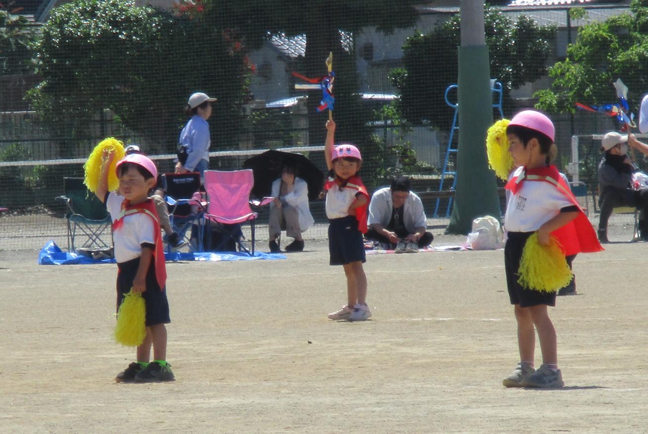 IMG_2054 IMG_2054