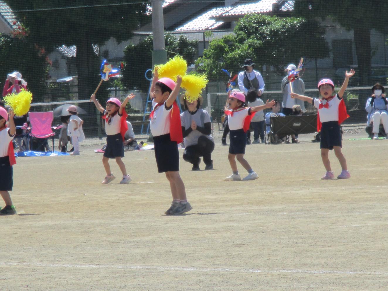 IMG_2064 IMG_2064