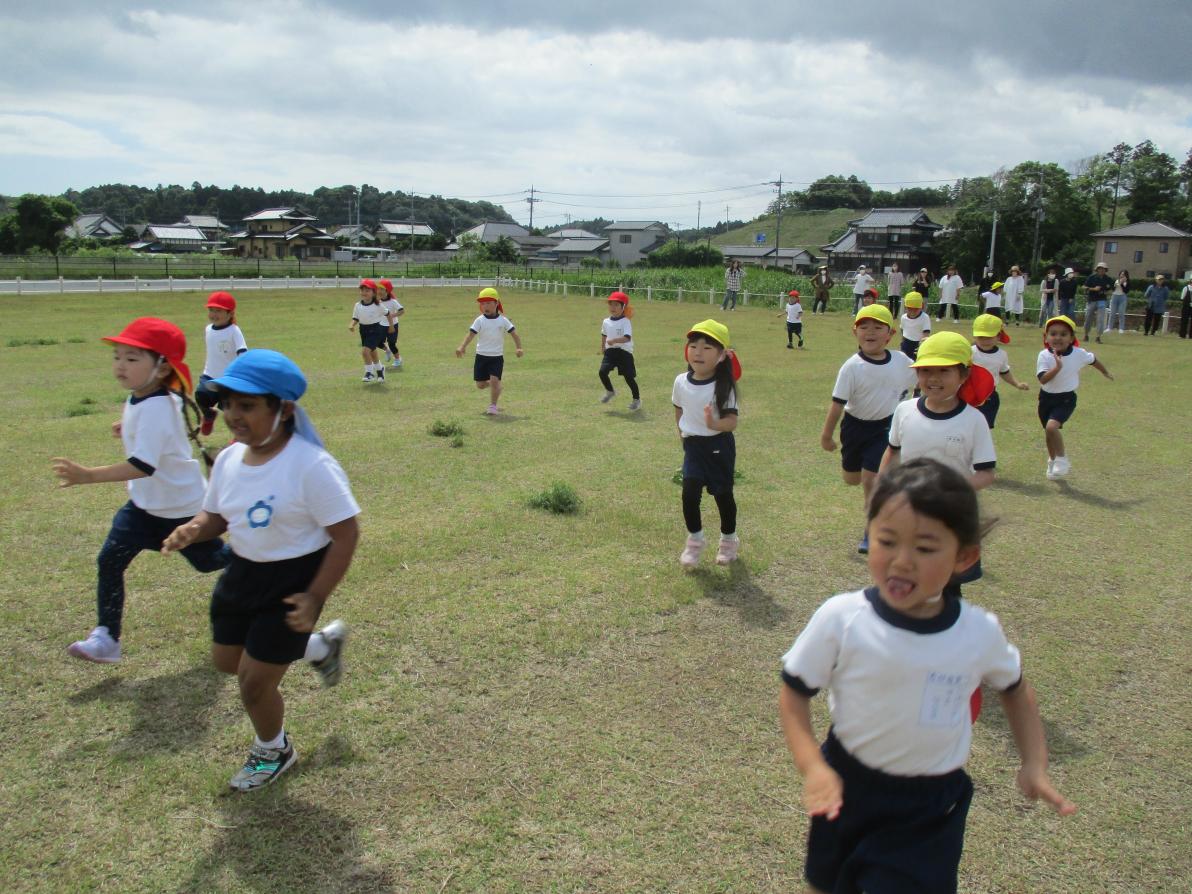 IMG_2103 IMG_2103