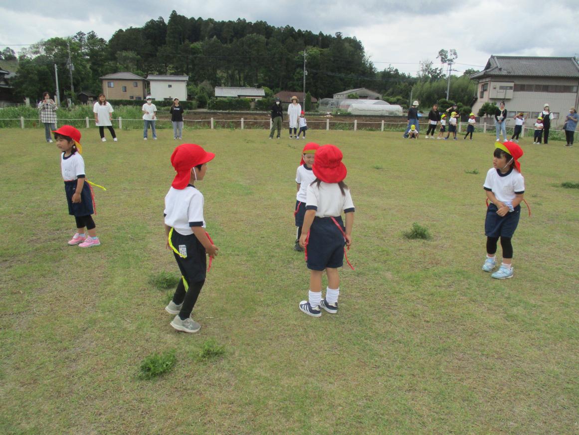 IMG_2121 IMG_2121