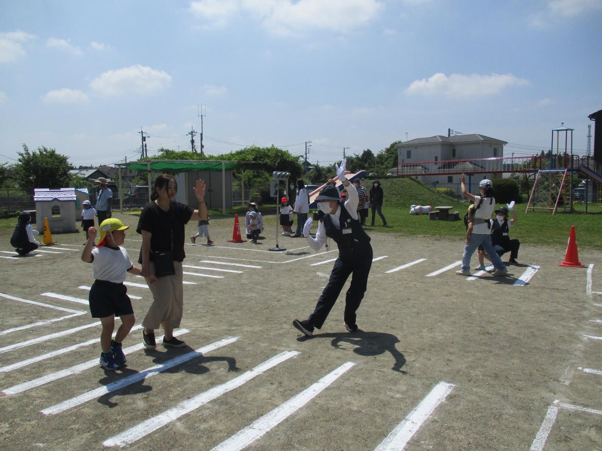 IMG_2240 IMG_2240