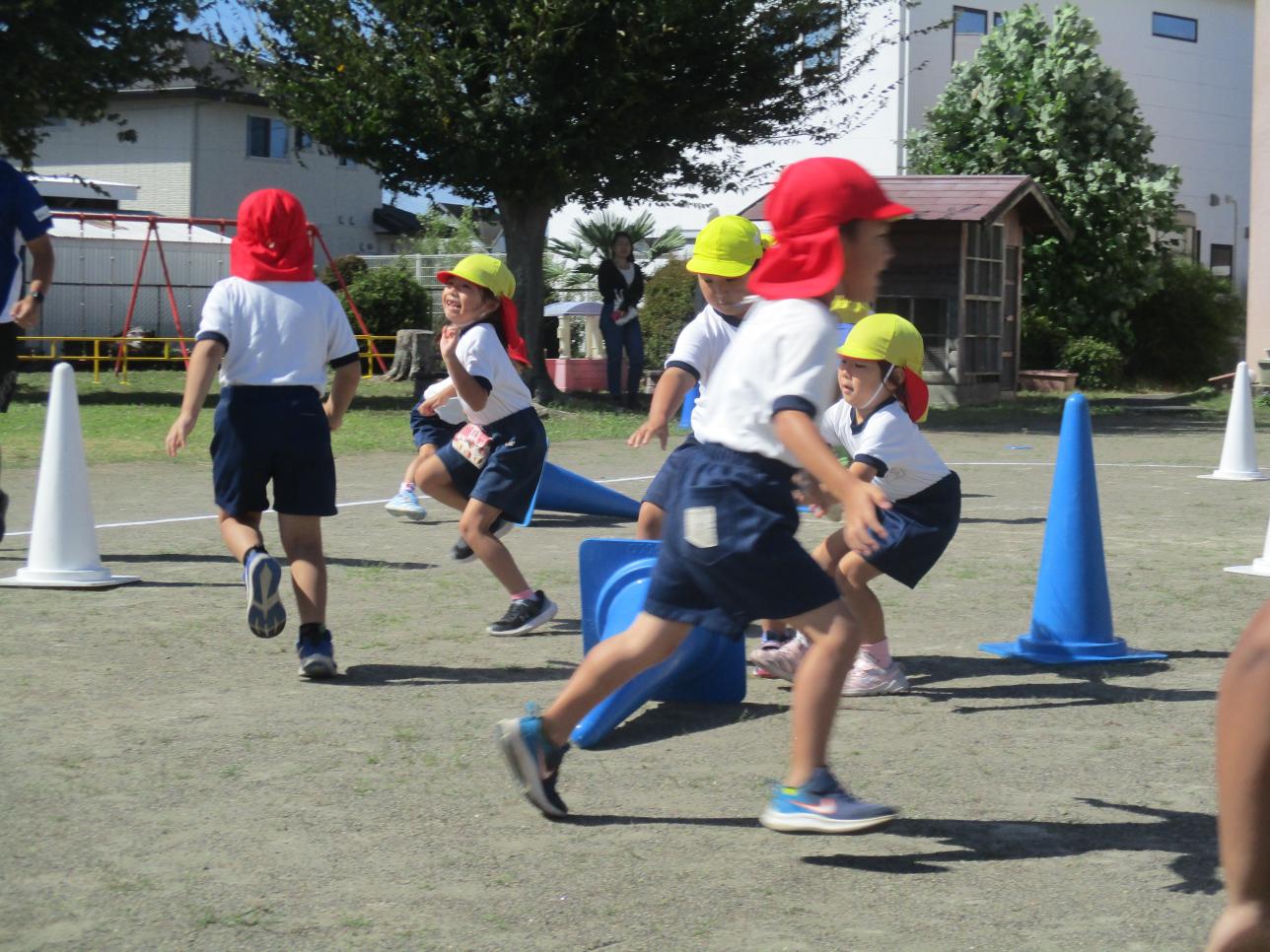 IMG_3132 IMG_3132