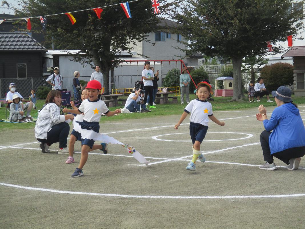 IMG_3410 IMG_3410