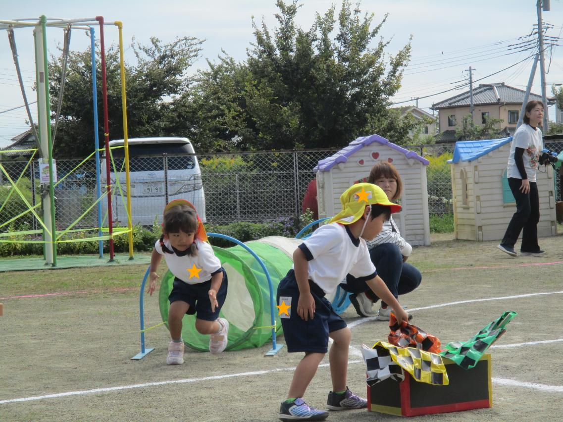 IMG_3517 IMG_3517