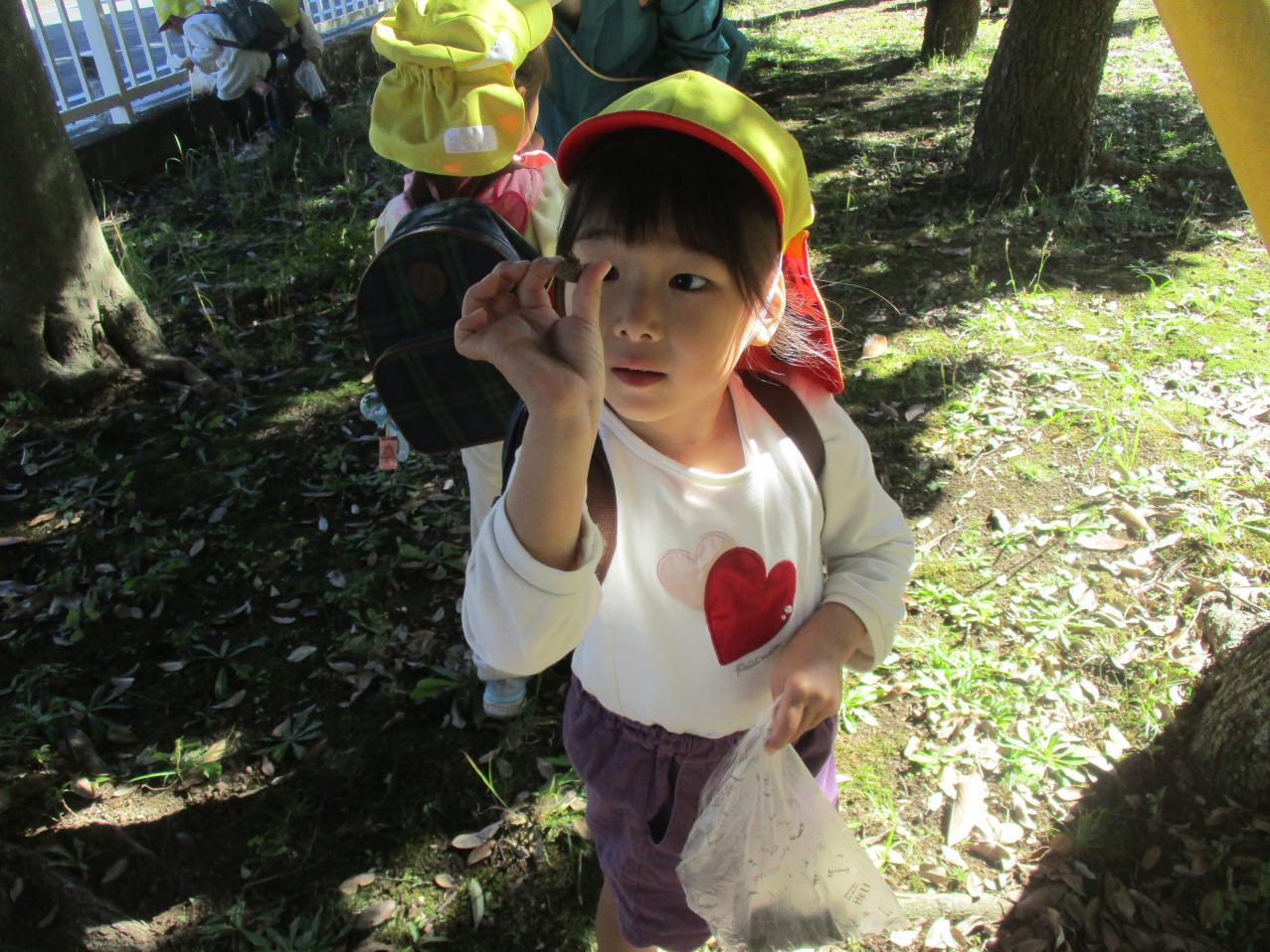 IMG_3884 IMG_3884