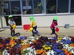 IMG_3000 IMG_3000