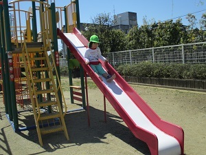 IMG_3006 IMG_3006