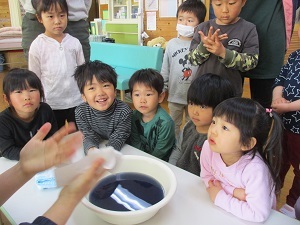 IMG_3031 IMG_3031