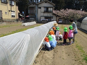 IMG_3061 IMG_3061