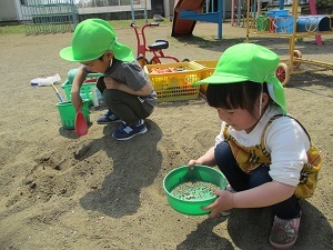 IMG_3065 IMG_3065
