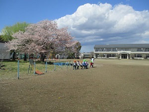 IMG_2951 IMG_2951