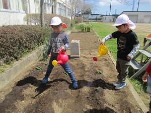 IMG_3042 IMG_3042
