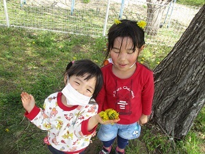 IMG_3051 IMG_3051