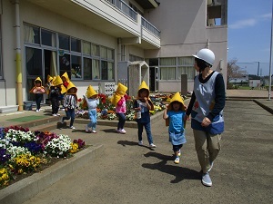 IMG_3146 IMG_3146
