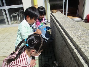 IMG_3388 IMG_3388