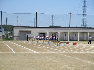 IMG_3405 IMG_3405