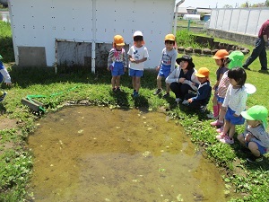 IMG_3399 IMG_3399