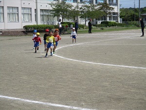 IMG_3486 IMG_3486