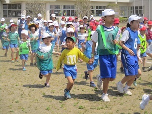 IMG_3488 IMG_3488