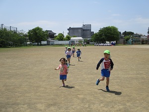 IMG_3489 IMG_3489