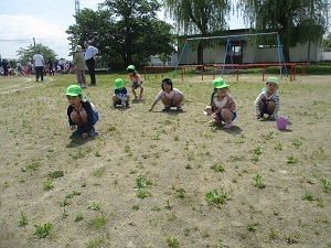 IMG_3485 IMG_3485