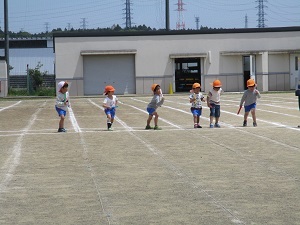 IMG_3456 IMG_3456