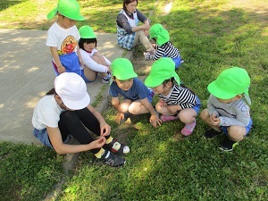 IMG_3458 IMG_3458