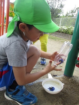 IMG_3547 IMG_3547