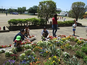 IMG_3677 IMG_3677