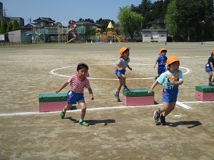 IMG_3694 IMG_3694