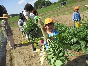 IMG_3896 IMG_3896