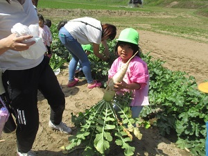 IMG_3897 IMG_3897
