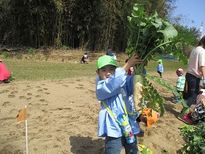 IMG_3898 IMG_3898