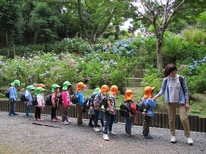 IMG_4629 IMG_4629