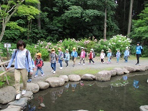 IMG_4634 IMG_4634