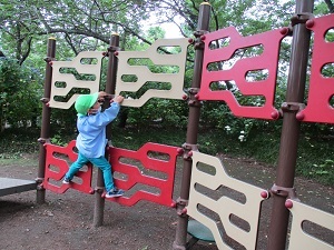 IMG_4638 IMG_4638