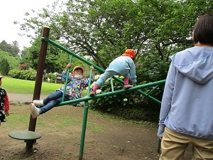 IMG_4639 IMG_4639