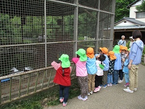 IMG_4682 IMG_4682