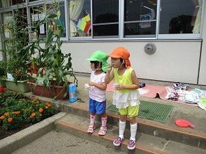 IMG_5010 IMG_5010