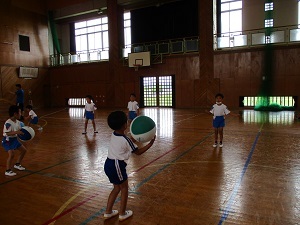 IMG_4949 IMG_4949