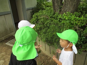 IMG_5410 IMG_5410