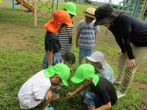 IMG_5415 IMG_5415
