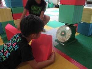 IMG_5461 IMG_5461