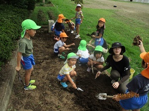 IMG_5655 IMG_5655